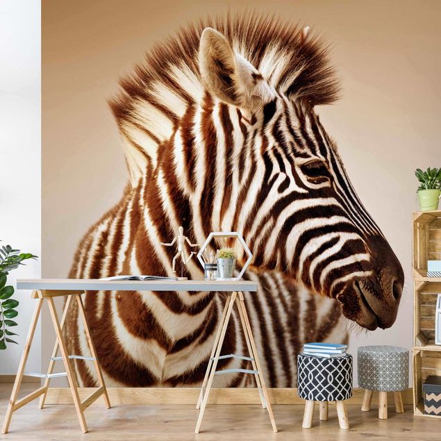 Wallpapers modern Zebra Baby Portrait