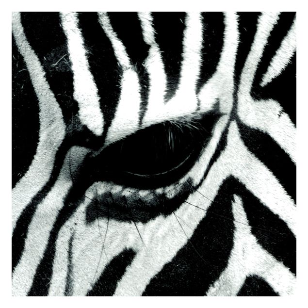 Contemporary wallpaper Zebra Crossing