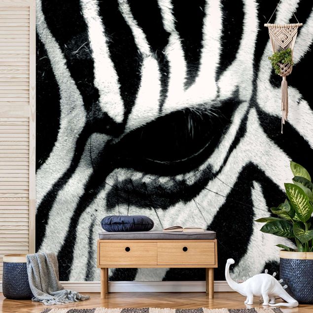 Wallpapers zebra Zebra Crossing