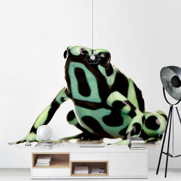 Contemporary wallpaper Zebra Frog