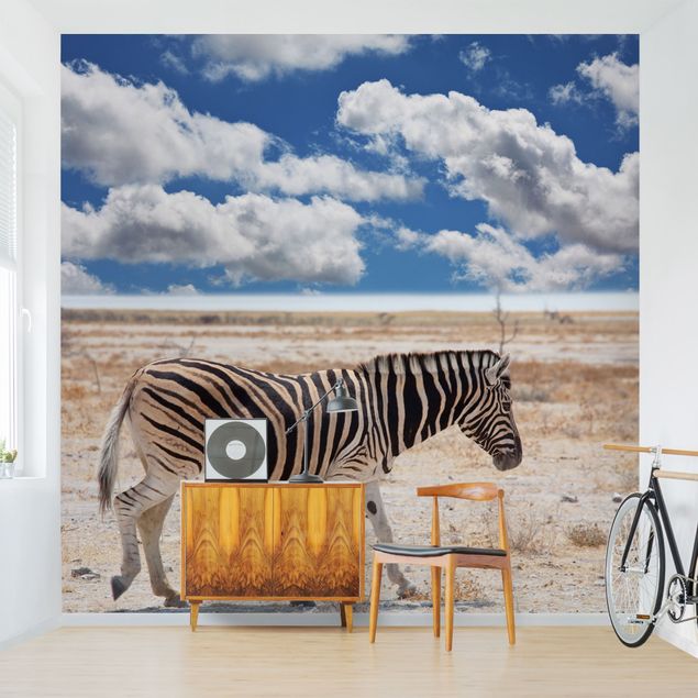 Wallpapers animals Zebra In The Savannah