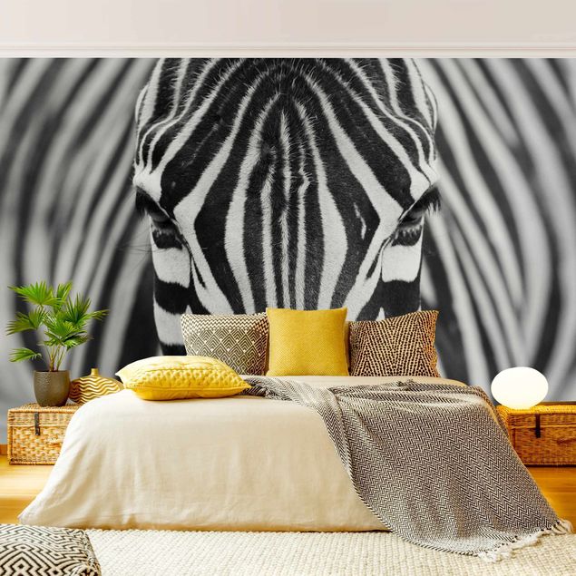Wallpapers zebra Zebra Look