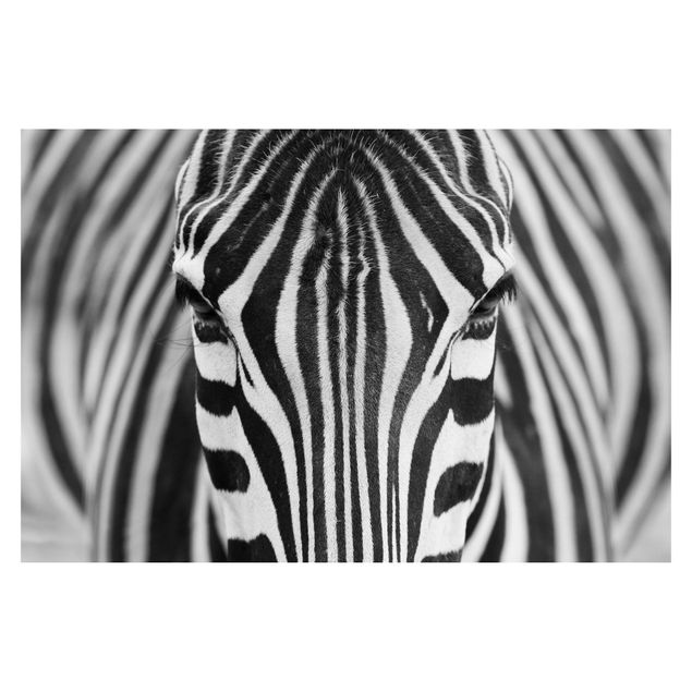 Modern wallpaper designs Zebra Look