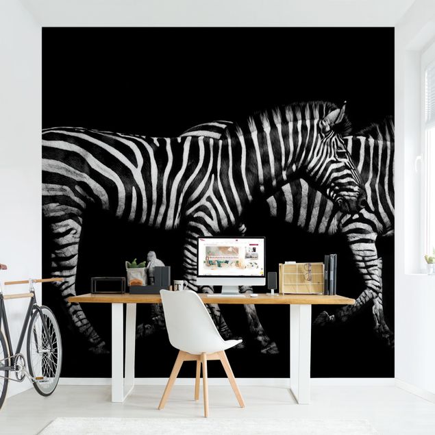 Black white wallpaper Zebra In The Dark