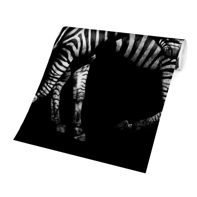 Contemporary wallpaper Zebra In The Dark