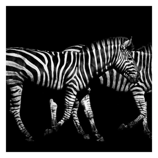 Peel and stick wallpaper Zebra In The Dark