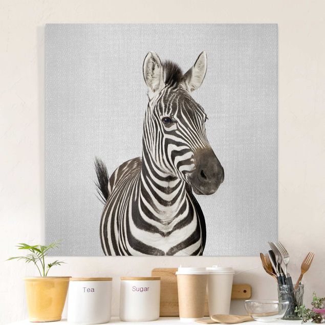 Prints zebra Zebra Zilla