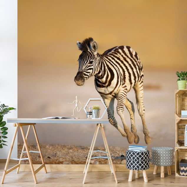Kitchen Zebra Foal