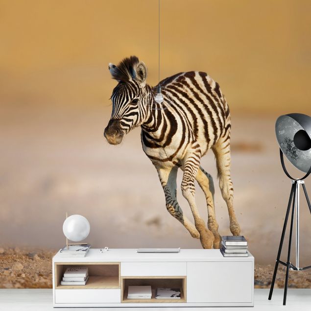 Modern wallpaper designs Zebra Foal