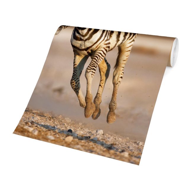 Adhesive wallpaper Zebra Foal