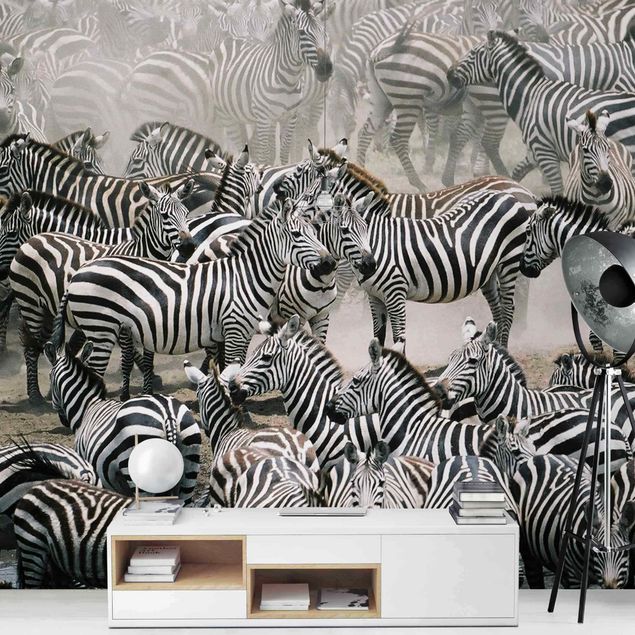 Wallpapers animals Zebra Herd