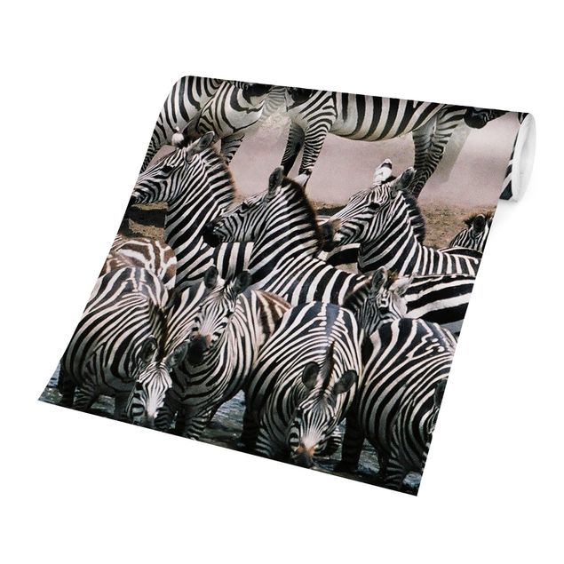 Contemporary wallpaper Zebra Herd