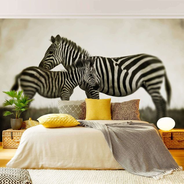 Black white wallpaper Zebra Couple