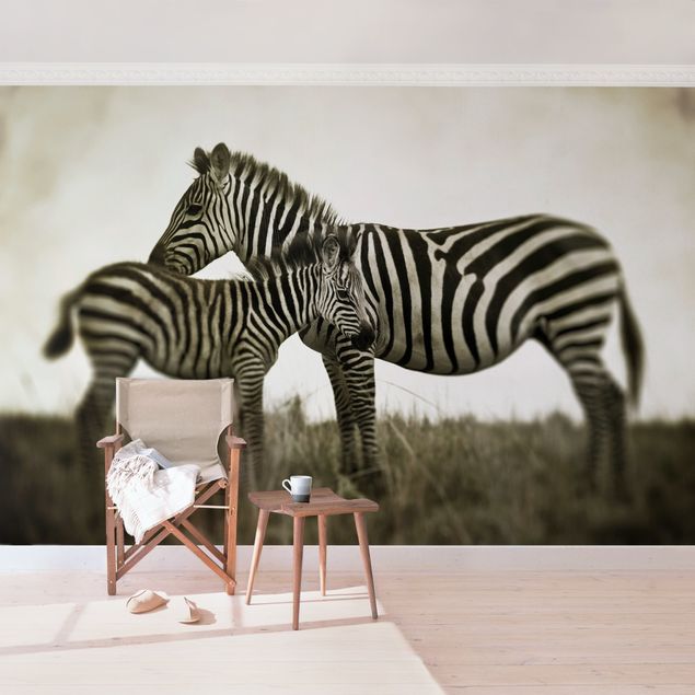 Wallpapers animals Zebra Couple