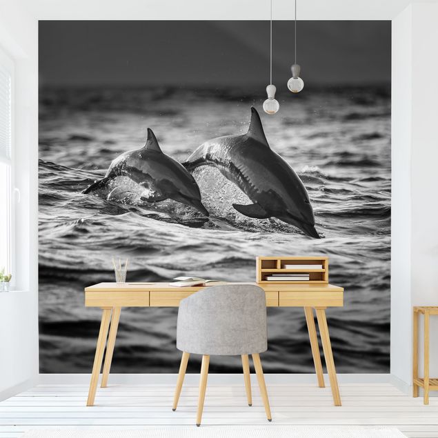 Wallpapers fishes Two Jumping Dolphins