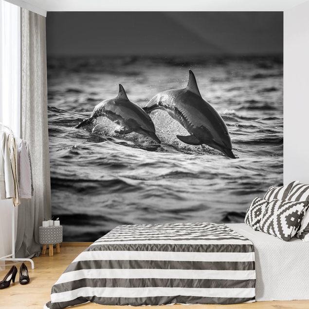 Wallpapers black and white Two Jumping Dolphins