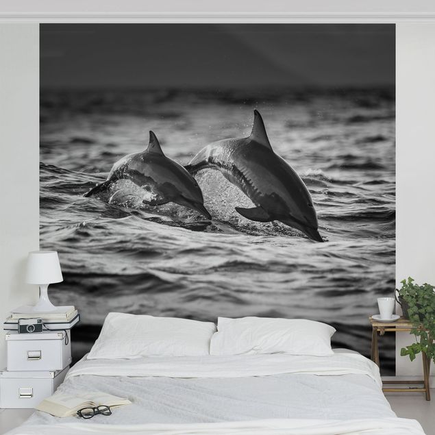Wallpapers animals Two Jumping Dolphins