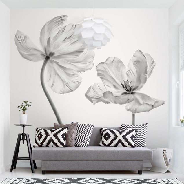 Black white wallpaper Two Delicate White Tulips