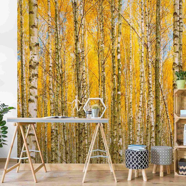 Contemporary wallpaper Between Yellow Birch Trees