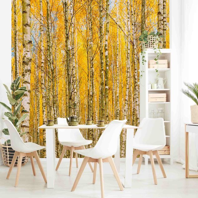 Rainforest wallpaper Between Yellow Birch Trees