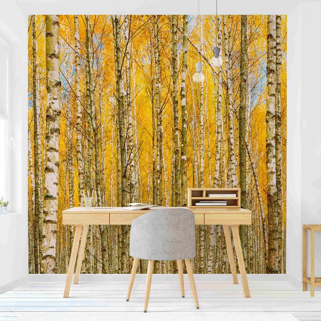 Wallpapers landscape Between Yellow Birch Trees