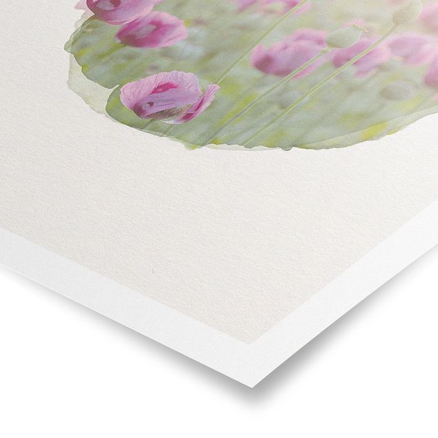 Modern art prints WaterColours - Violet Poppy Flowers Meadow In Spring