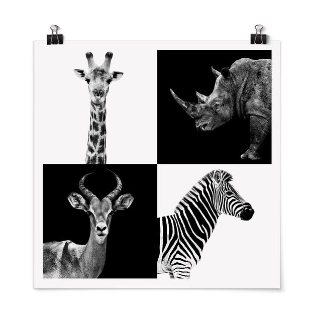Giraffe print Safari Quartet