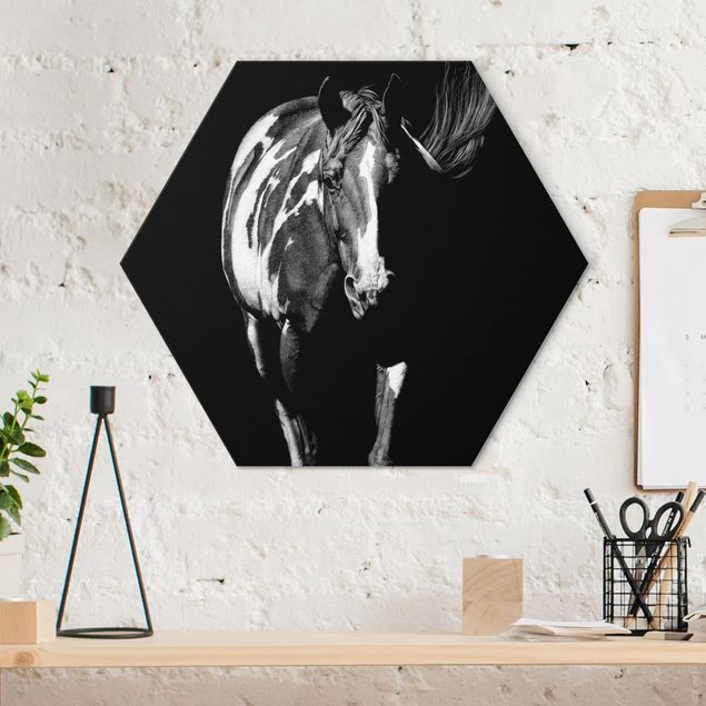 Horse canvas Horse In The Dark