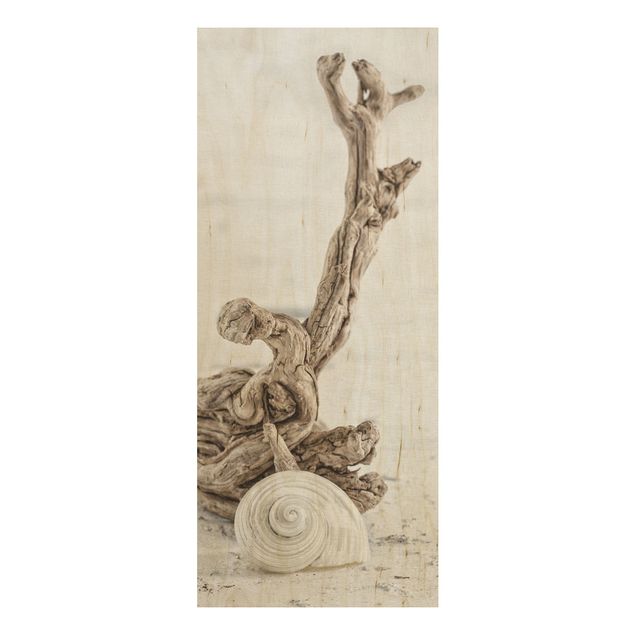 Wood prints landscape White Snail Shell And Root Wood