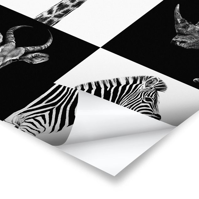 Modern art prints Safari Quartet