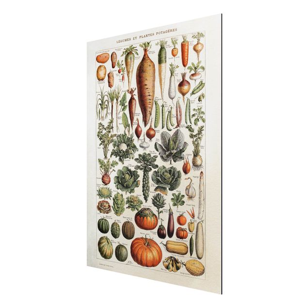 Prints floral Vintage Board Vegetables