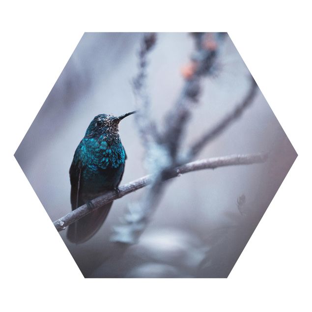 Forex prints Hummingbird In Winter