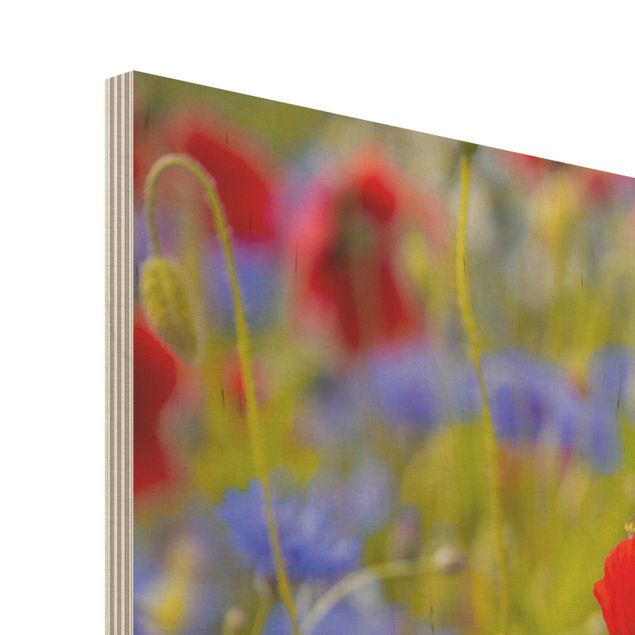 Wood prints Summer Meadow With Poppies And Cornflowers