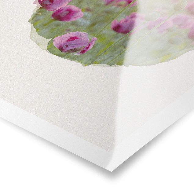 Rainer Mirau WaterColours - Violet Poppy Flowers Meadow In Spring
