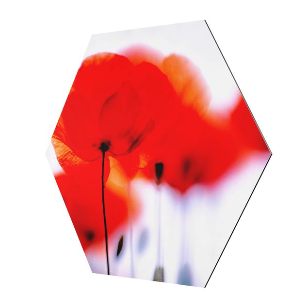 Red canvas wall art Magic Poppies