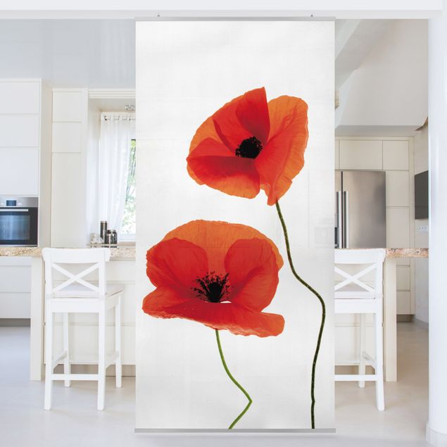 Room divider screen Charming Poppies