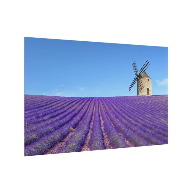 Glass splashback kitchen landscape Lavender Fragrance In Provence