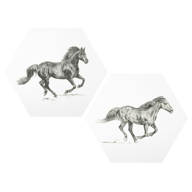 Modern art prints Wild Horse Study Set I