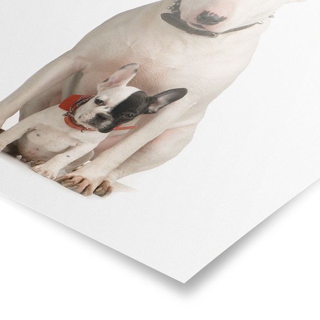 Prints modern Bull Terrier and Friend