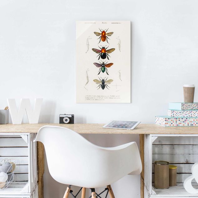 Glass prints pieces Vintage Board Insects
