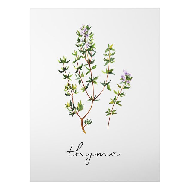 Flower print Herbs Illustration Thyme