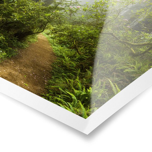 Prints green Misty Forest Path