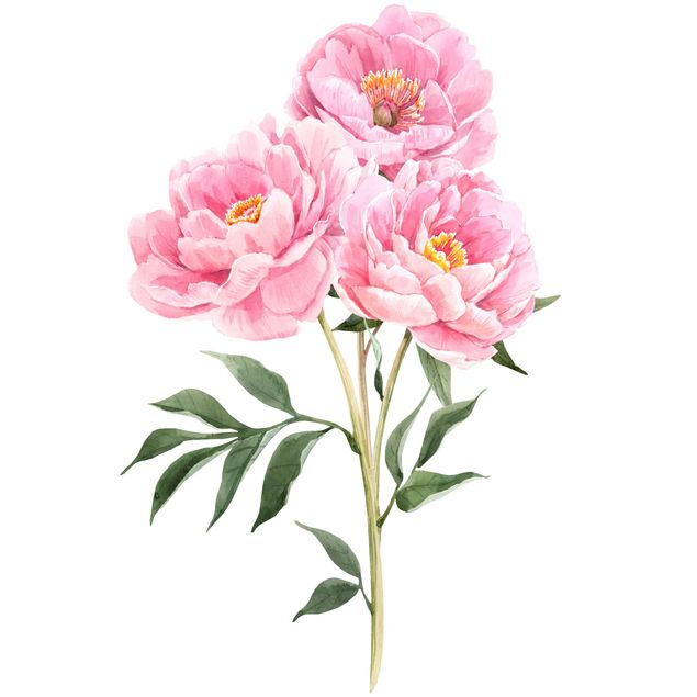 Plant wall decals Watercolour Peony XXL