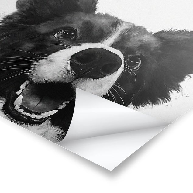 Laura Graves Art Illustration Dog Border Collie Black And White Painting