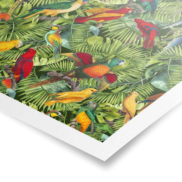 Animal canvas Colourful Collage - Parrots In The Jungle