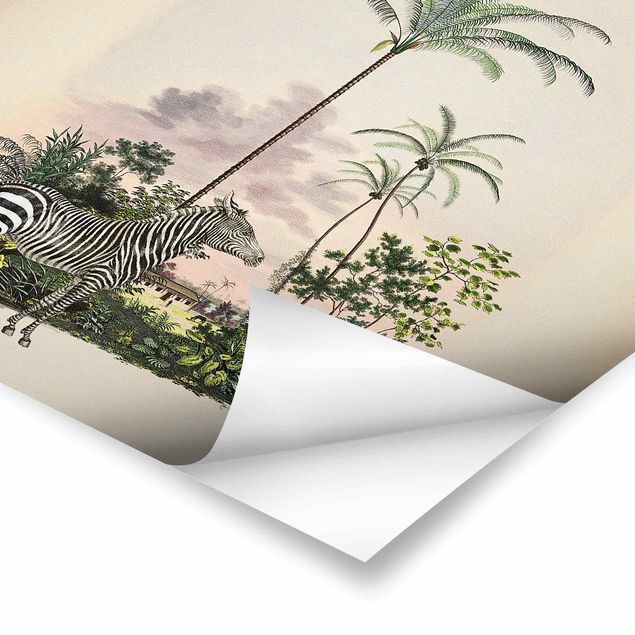 Andrea Haase Zebra Front Of Palm Trees Illustration