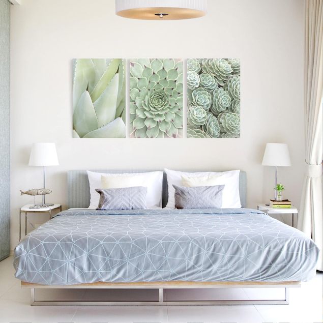 Prints floral Agave and Succulent Trio