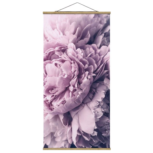 Floral picture Purple Peony Blossoms