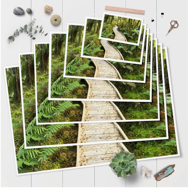 Green canvas wall art Path In The Jungle