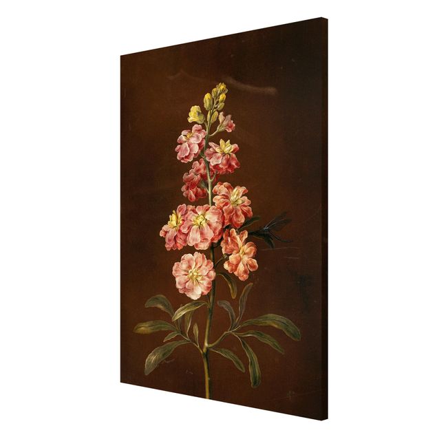Magnet boards flower Barbara Regina Dietzsch - A Light Pink Gillyflower